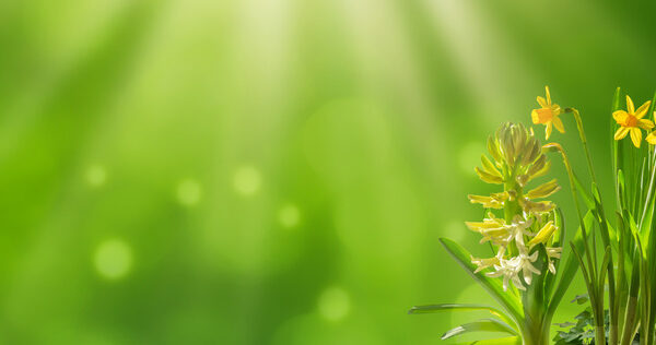 これまでの開催イベント