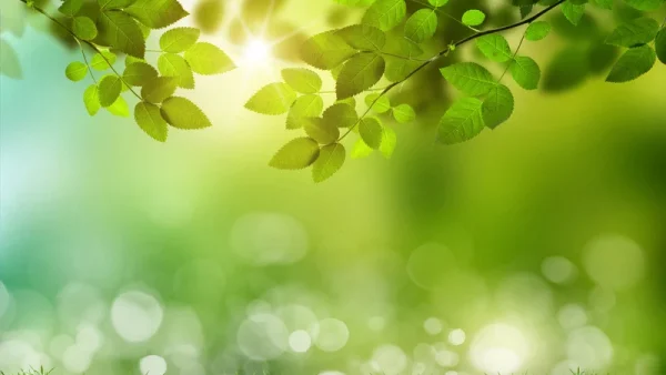 ★新潟県新発田市